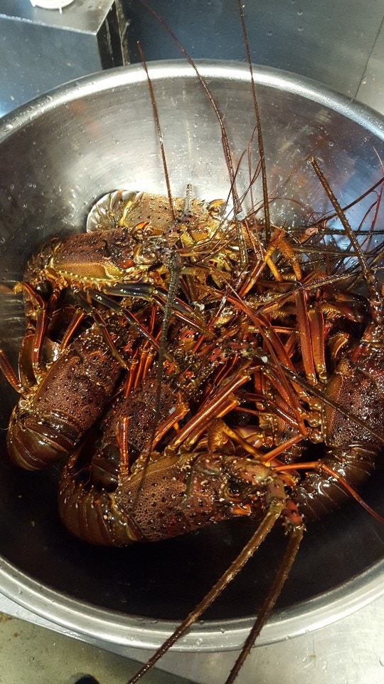 제주이와이 - 이미지 6