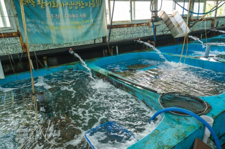 곰막식당 - 이미지 3