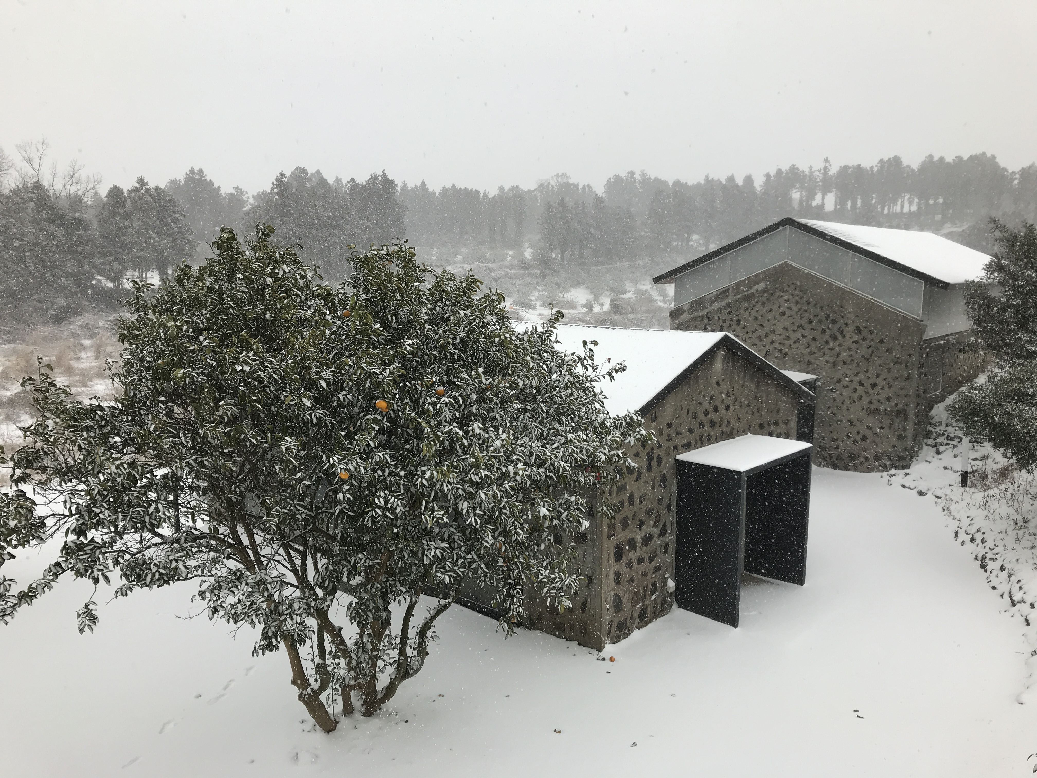 커피템플 - 이미지 1