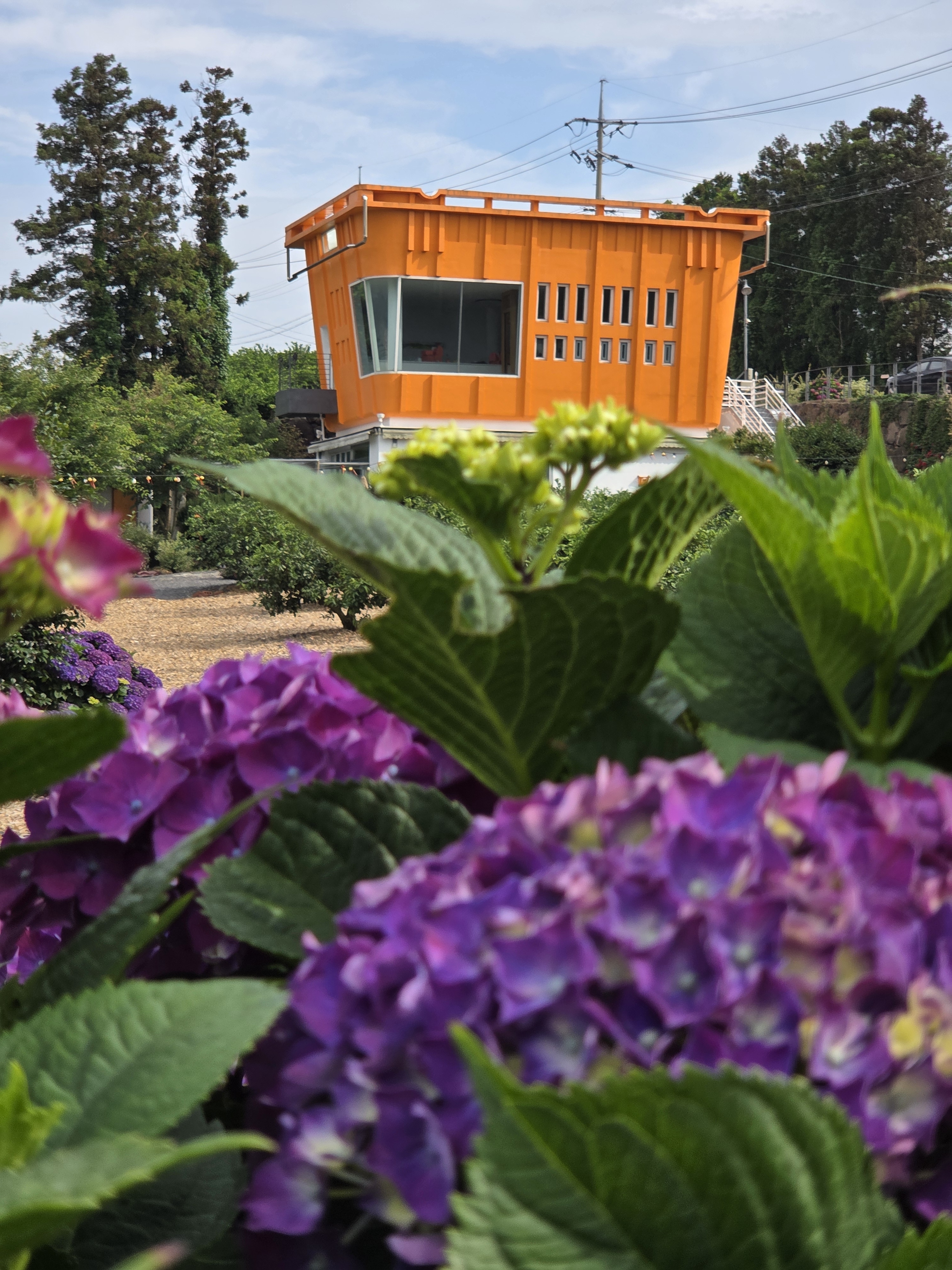 카페 더 콘테나 제주 - 이미지 1