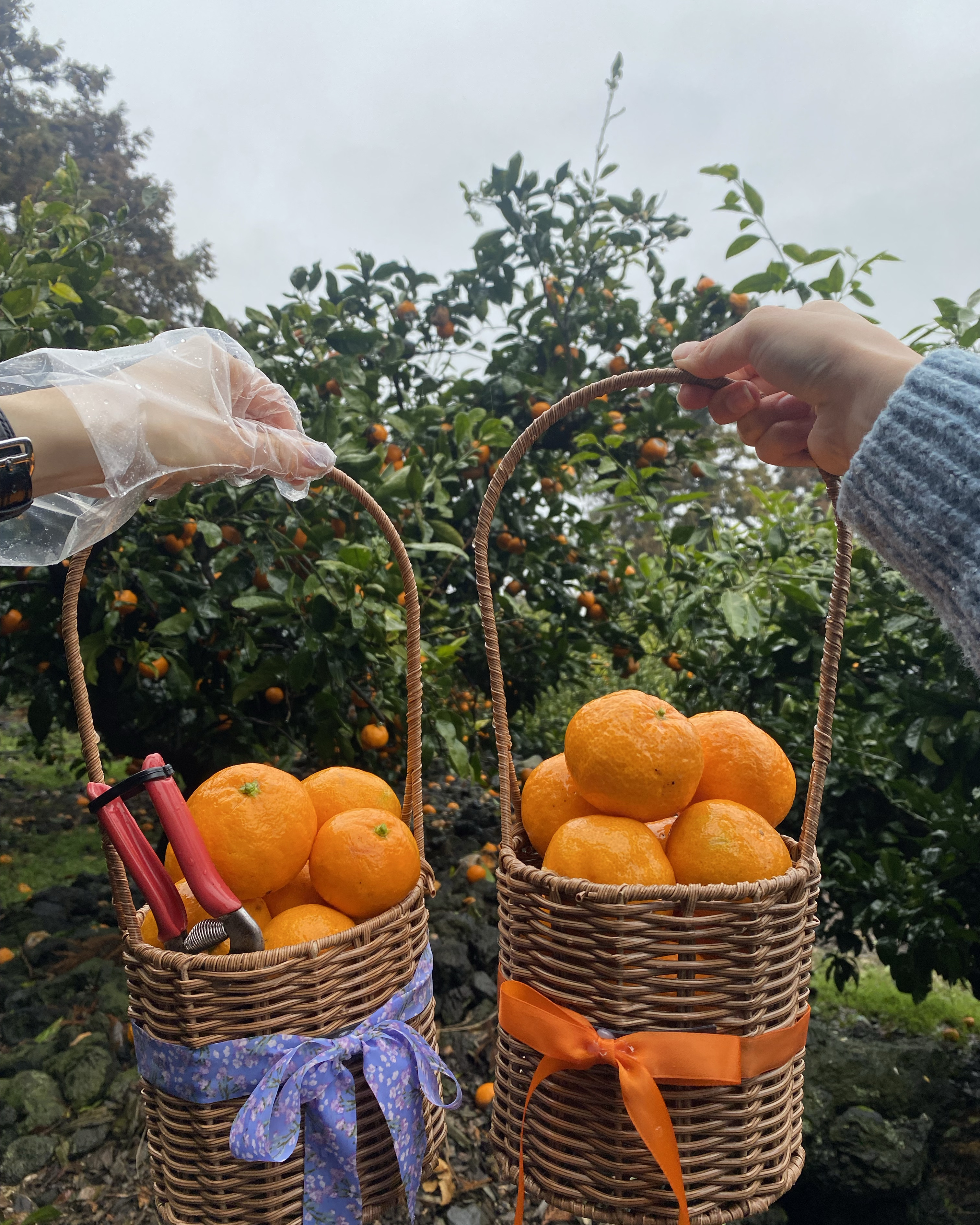 카페 더 콘테나 제주 - 이미지 3